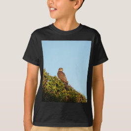 Camiseta Gavilán