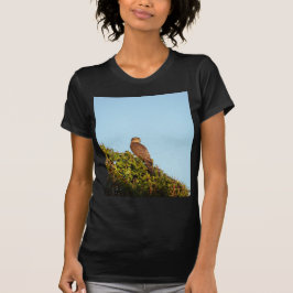 Camiseta Gavilán