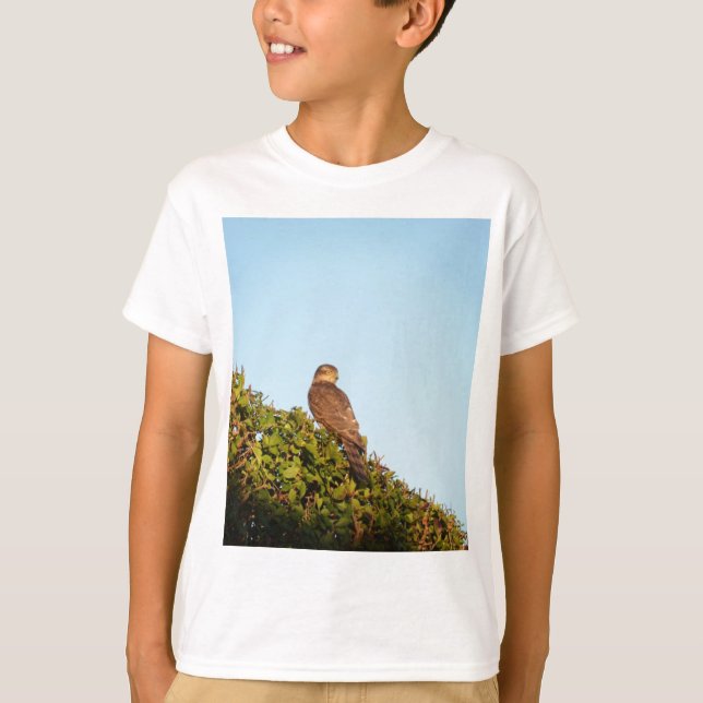 Camiseta Gavilán (Anverso)