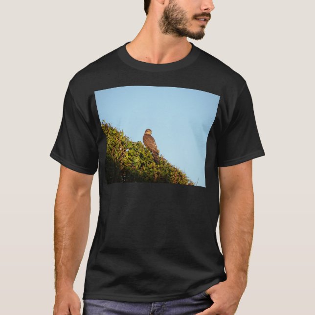 Camiseta Gavilán (Anverso)