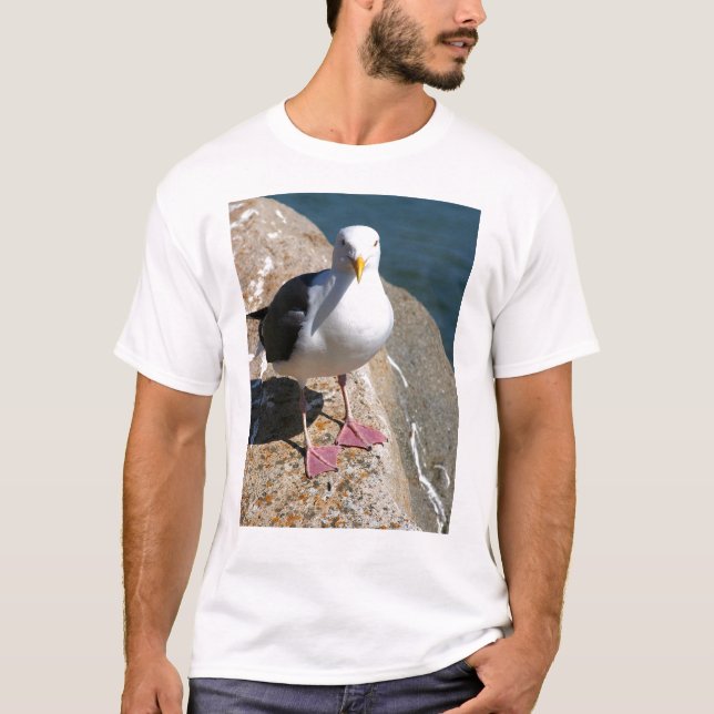 Camiseta Gaviota, bahía de Morro, California (Anverso)