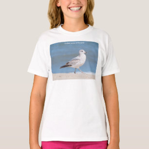 Camiseta Gaviota de pico anillado