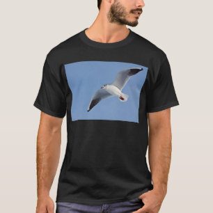 Camiseta Gaviota, Sea/gull