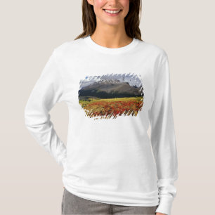 Camiseta Gayuba a principios de otoño Athabasca Peak en la