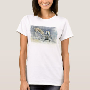 Camiseta Gazelles de la arena 2009 2