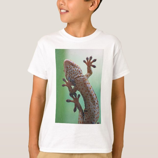 Camiseta Gecko (Anverso)