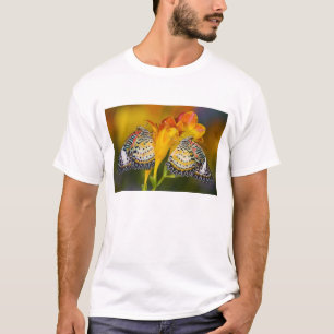 Camiseta Gemelas Mariposas Tropicales