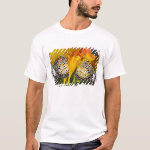 Camiseta Gemelos de mariposa tropical