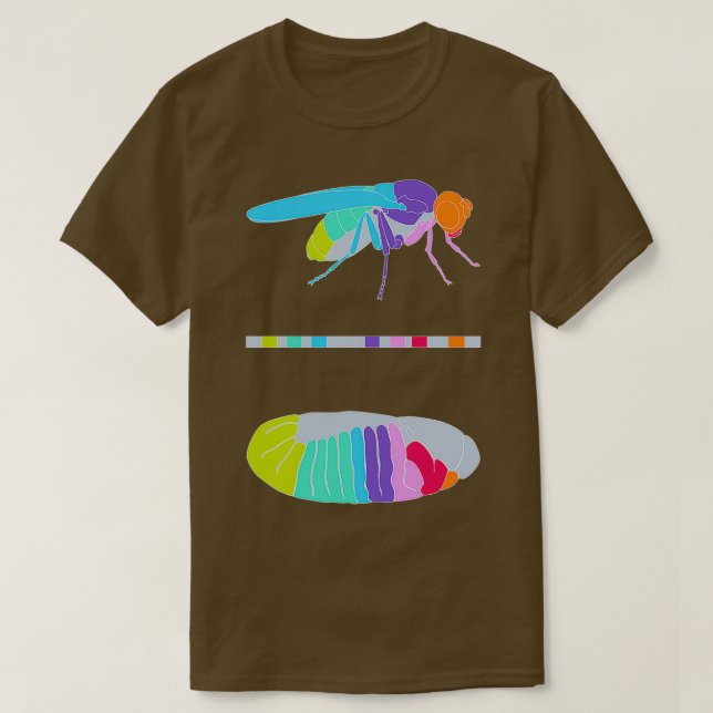 Camiseta Genes de Drosophila Hox (Diseño del anverso)