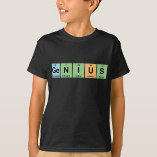 Camiseta Genio - elementos