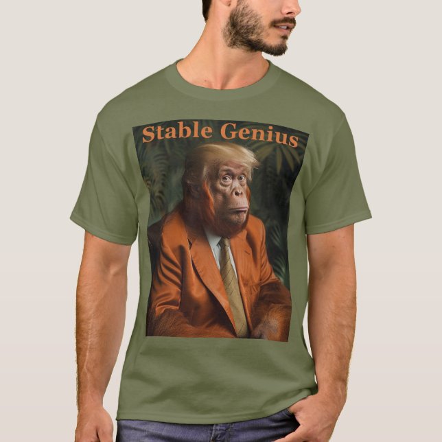 Camiseta Genio estable (Anverso)