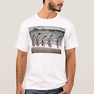 Camiseta Gentoos en la playa