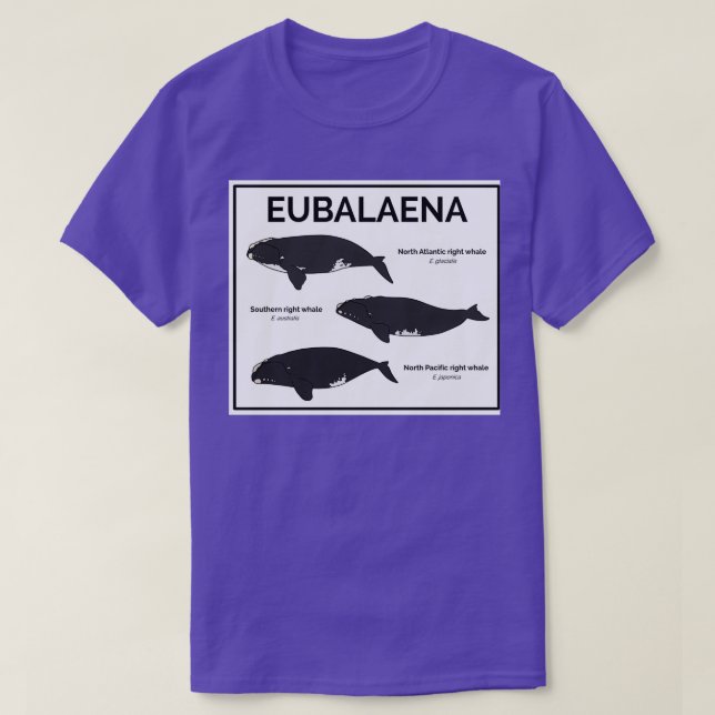 Camiseta Genus Eubalaena Right Whales (Diseño del anverso)