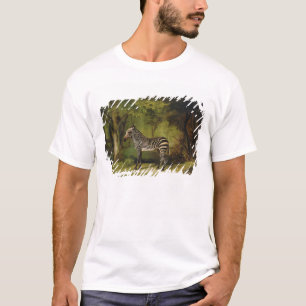 Camiseta George Stubbs el una cebra, 1763 (aceite en