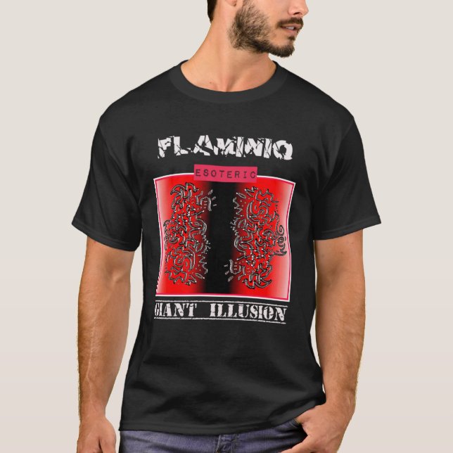 CAMISETA GIANT ILLUSION (Anverso)