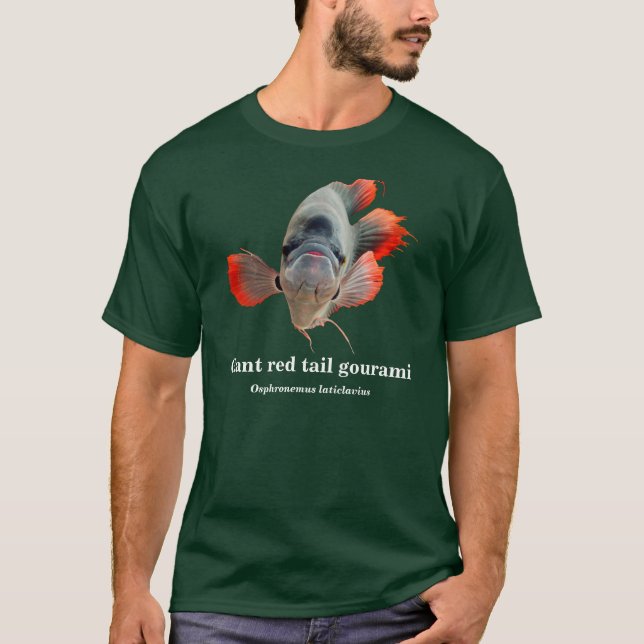 Camiseta Giant red tail gourami , Osphronemus laticlavius (Anverso)
