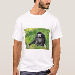 Camiseta Gibón de manos blancas sentado sobre hierba