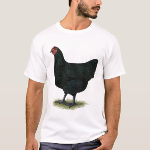 Camiseta Gigante del jersey:  Gallina negra