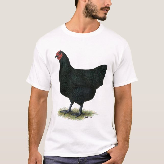 Camiseta Gigante del jersey:  Gallina negra (Anverso)