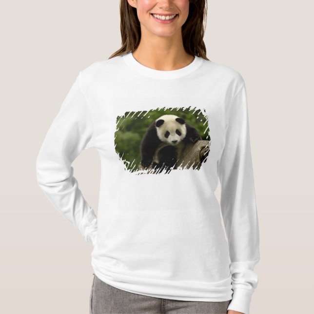 Camiseta Gigante panda baby (Anverso)