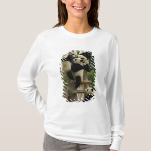 Camiseta Gigantes pandas bebés Ailuropoda melanoleuca)