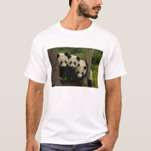 Camiseta Gigantes pandas bebés Ailuropoda melanoleuca)