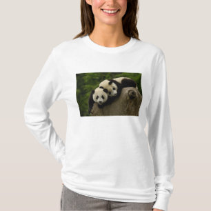 Camiseta Gigantes pandas bebés Ailuropoda melanoleuca)