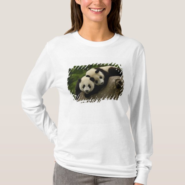 Camiseta Gigantes pandas bebés Ailuropoda melanoleuca) (Anverso)