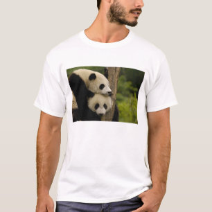 Camiseta Gigantes pandas bebés Ailuropoda melanoleuca)