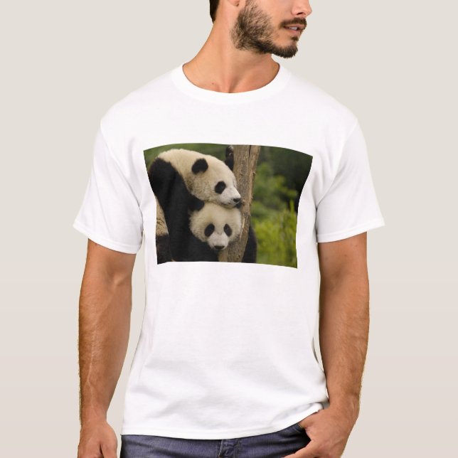 Camiseta Gigantes pandas bebés Ailuropoda melanoleuca) (Anverso)