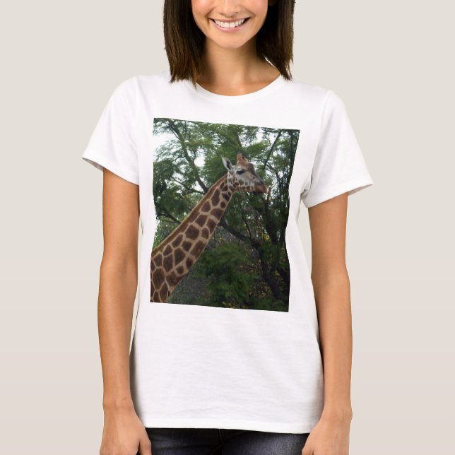 Camiseta Giraffe_Adventure,_ (Anverso)