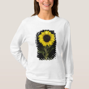 Camiseta Girasol 11