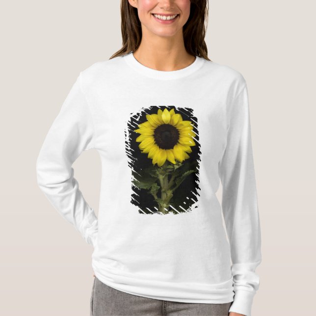 Camiseta Girasol 11 (Anverso)