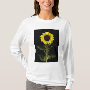 Camiseta Girasol 11