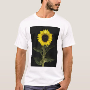 Camiseta Girasol 11
