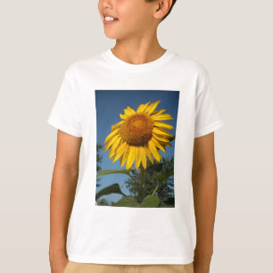 Camiseta Girasol matutino