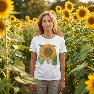 Camiseta Girasol vintage de Basilius Besler