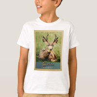 Glaciar Parque Nacional Vintage Travel Deer