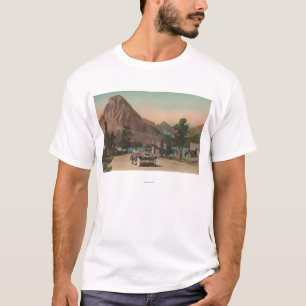 Camiseta Glaciar, TA - vista de dos chalets y Mt. Rockwell