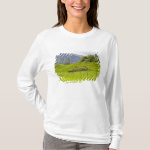 Camiseta Glendalough, Irlanda. Glendalough es uno de los