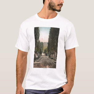 Camiseta Glenwood Springs, Colorado