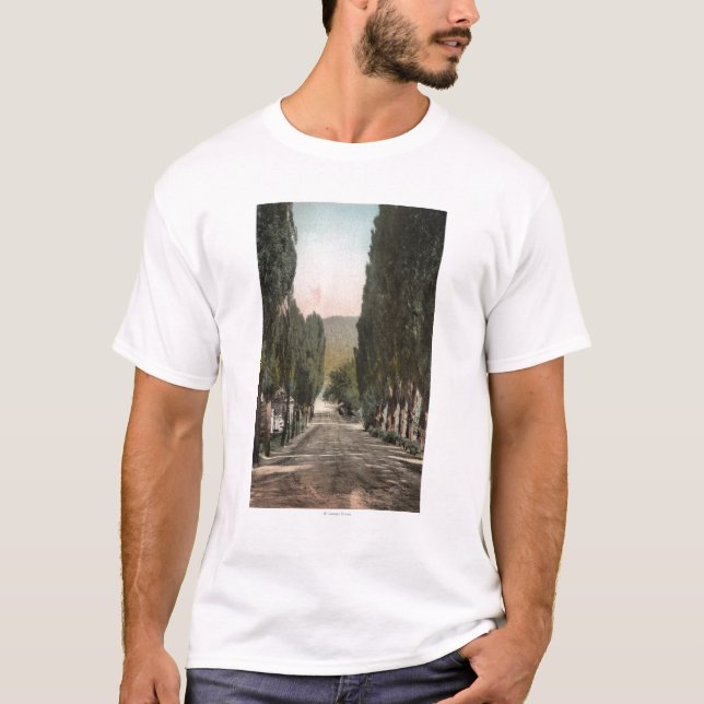 Camiseta Glenwood Springs, Colorado (Anverso)