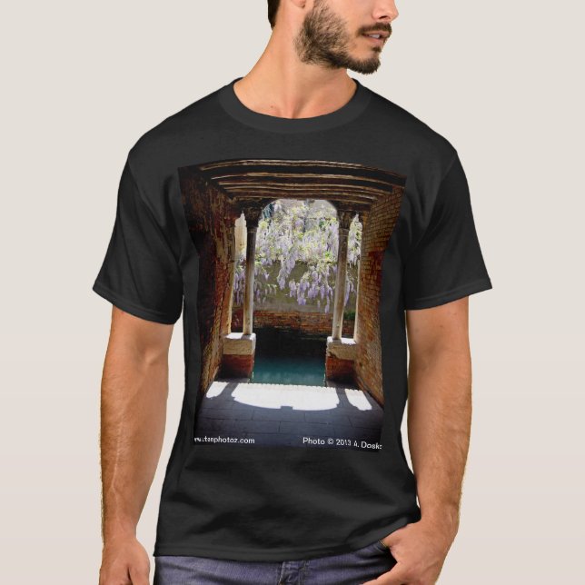 Camiseta Glicinias en Venecia (Anverso)