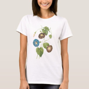 Camiseta gloria matutina (espanomaea quamoclit) de Redouté