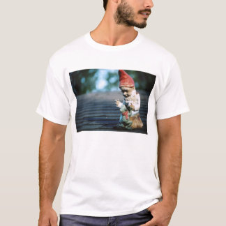 Camiseta gnomo