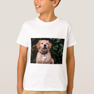 Camiseta Golden Retriever Puppy