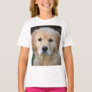 Camiseta Golden Retriever Puppy