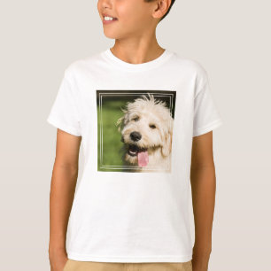 Camiseta Goldendoodle