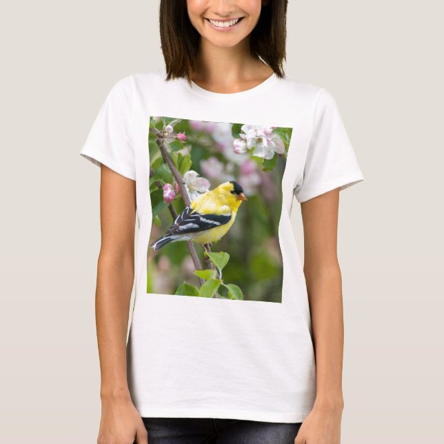 Camiseta Goldfinch americano con los flores de la manzana (Anverso)