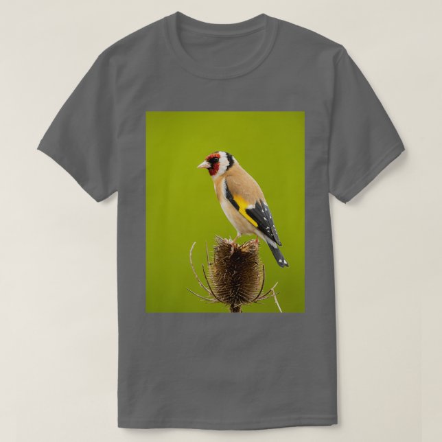 Camiseta Goldfinch on teasel (Diseño del anverso)
